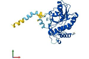 Protein Structure (PS) image for Retinol Dehydrogenase 11 (All-Trans/9-Cis/11-Cis) (RDH11) (AA 1-318) protein (His tag) (ABIN7551318)