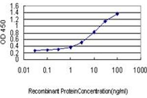 Detection limit for recombinant GST tagged BAG1 is approximately 0. (BAG1 antibody  (AA 241-345))