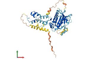 AlphaFold protein structure predicition of Mouse Recombinant Fbxo4 Protein, UniprotID Q8CHQ0