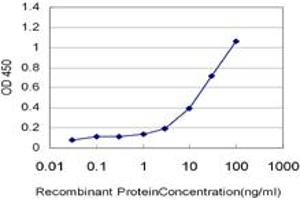 Detection limit for recombinant GST tagged ZNF92 is approximately 0. (ZNF92 antibody  (AA 490-586))