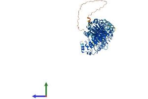 Protein Structure (PS) image for Leucine Rich Repeat Containing 8 Family, Member A (LRRC8A) (AA 1-810) protein (His tag) (ABIN7554441)