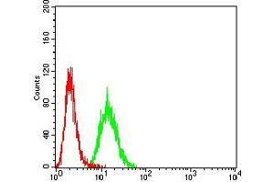 Flow cytometric analysis of Hela cells using ACVR1 mouse mAb (green) and negative control (red). (ACVR1 antibody  (AA 21-120))