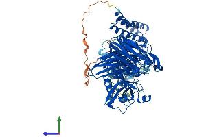 AlphaFold protein structure predicition of Human Recombinant CAPN7 Protein, UniprotID Q9Y6W3 (Calpain 7 Protein (CAPN7) (AA 1-813) (His tag))