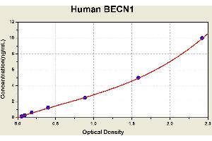 Beclin 1, Autophagy Related (BECN1) ELISA Kit