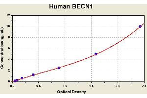 Diagramm of the ELISA kit to detect Human BECN1with the optical density on the x-axis and the concentration on the y-axis. (Beclin 1 ELISA Kit)