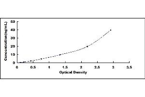 Typical standard curve (CYP2C18 ELISA Kit)