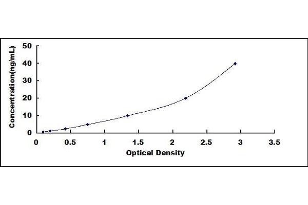 CYP2C18 ELISA Kit