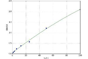 Induced Myeloid Leukemia Cell Differentiation Protein Mcl-1 (MCL1) ELISA Kit
