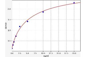 Typical standard curve (TBX3 ELISA Kit)