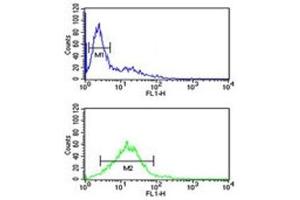 Flow Cytometry (FACS) image for anti-Phospholamban (PLN) (AA 1-30) antibody (ABIN3032226)