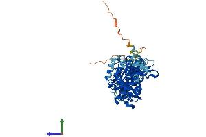 Protein Structure (PS) image for ATPase, H+ Transporting, Lysosomal 56/58kDa, V1 Subunit B1 (ATP6V1B1) (AA 1-513) protein (His tag) (ABIN7545065)
