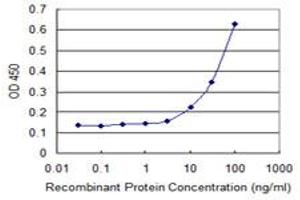 Detection limit for recombinant GST tagged TNFSF13B is 3 ng/ml as a capture antibody. (BAFF antibody  (AA 1-285))