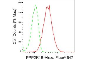 Flow cytometric analysis of PPP2R1B expression in HepG2 cells using PPP2R1B antibody (ABIN7800022), 1:2,000). (PPP2R1B antibody)