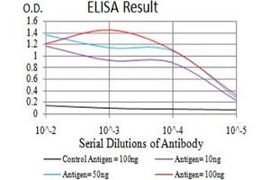 Fig. (KLF2 antibody  (AA 251-355))