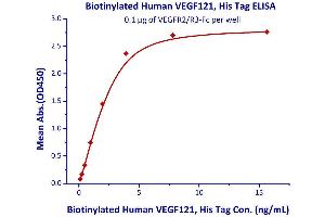 Measured by its binding ability in a functional ELISA. (VEGF Protein (AA 27-147) (AVI tag,His tag,Biotin))