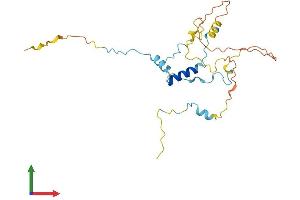 AlphaFold protein structure predicition of Mouse Recombinant Myoz3 Protein, UniprotID Q8R4E4
