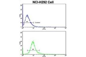 Flow Cytometry (FACS) image for anti-Cullin 5 (CUL5) antibody (ABIN3003301) (Cullin 5 antibody)