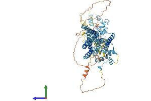 AlphaFold protein structure predicition of Human Recombinant SLC39A12 Protein, UniprotID Q504Y0
