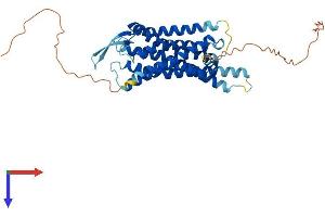 GRPR Protein (AA 1-384) (His tag)