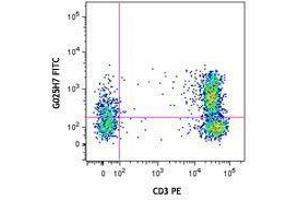 Flow Cytometry (FACS) image for anti-Chemokine (C-X-C Motif) Receptor 3 (CXCR3) antibody (FITC) (ABIN2661544) (CXCR3 antibody  (FITC))