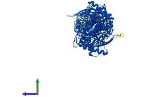 Protein Structure (PS) image for Hexokinase 1 (HK1) (AA 1-917) protein (His tag) (ABIN7548419)