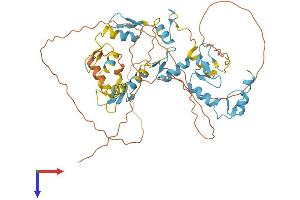 AlphaFold protein structure predicition of Human Recombinant ZNF639 Protein, UniprotID Q9UID6