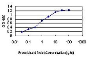Detection limit for recombinant GST tagged KSR2 is approximately 0. (KSR2 antibody  (AA 411-500))