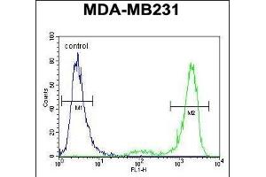 Flow Cytometry (FACS) image for anti-Potassium Channel, Subfamily T, Member 2 (KCNT2) (AA 1069-1097), (C-Term) antibody (ABIN654309)