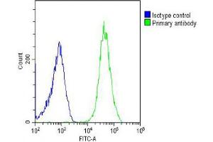 Overlay histogram showing U-2OS cells stained with (ABIN655755 and ABIN2845199) (green line). (ZC3H18 antibody  (N-Term))