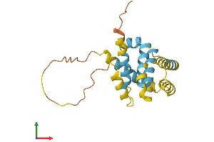 AlphaFold protein structure predicition of Human Recombinant BID Protein, UniprotID P55957 (BID Protein (AA 1-195) (His tag))