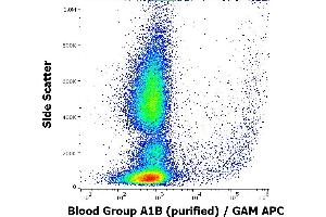 Flow cytometry surface staining pattern of human peripheral whole blood stained using anti-human Blood Grou A1B (HE-24) purified antibody(concentration in sample 3,3 μg/mL, GAM APC). (Blood Group A1B antibody)