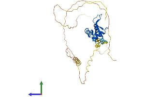 AlphaFold protein structure predicition of Human Recombinant FOXI2 Protein, UniprotID Q6ZQN5 (FOXI2 Protein (AA 1-318) (His tag))