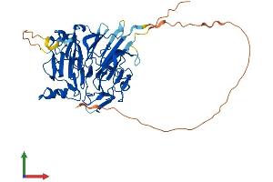 Protein Structure (PS) image for Secretion Regulating Guanine Nucleotide Exchange Factor (SERGEF) (AA 1-464) protein (His tag) (ABIN7558436)