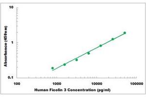 Representative Standard Curve (FCN3 ELISA Kit)