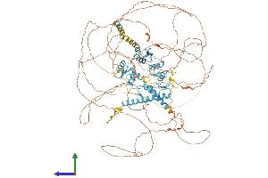Protein Structure (PS) image for RE1-Silencing Transcription Factor (REST) (AA 1-1082) protein (His tag) (ABIN7564773)