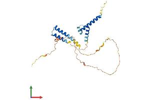 AlphaFold protein structure predicition of Human Recombinant HELT Protein, UniprotID A6NFD8