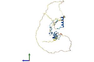 AlphaFold protein structure predicition of Mouse Recombinant Phf13 Protein, UniprotID Q8K2W6 (PHF13 Protein (AA 1-296) (His tag))