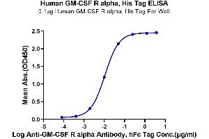 ELISA image for Colony Stimulating Factor 2 Receptor, Alpha, Low-Affinity (Granulocyte-Macrophage) (CSF2RA) (AA 23-320) protein (His tag) (ABIN7274781)