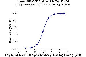 Immobilized Human GM-CSF R alpha, His Tag at 1 μg/mL (100 μL/Well) on the plate.