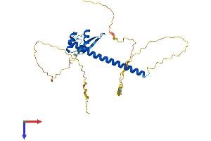 VAX2 Protein (AA 1-290) (His tag)
