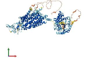 AlphaFold protein structure predicition of Mouse Recombinant Slc12a4 Protein, UniprotID Q9JIS8
