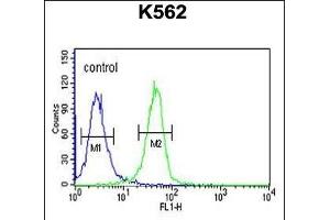 EFR3A Antibody (C-term) (ABIN651173 and ABIN2840110) flow cytometric analysis of K562 cells (right histogram) compared to a negative control cell (left histogram).