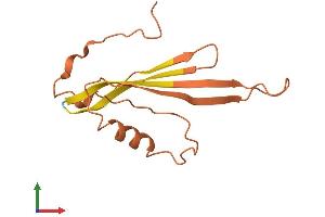 AlphaFold protein structure predicition of Human Recombinant LINC01555 Protein, UniprotID Q8NAE3 (C1orf180 Protein (AA 1-123) (His tag))