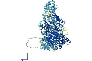 AlphaFold protein structure predicition of Mouse Recombinant Nlrc4 Protein, UniprotID Q3UP24 (NLRC4 Protein (AA 1-1024) (His tag))