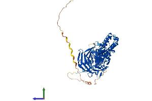 AlphaFold protein structure predicition of Human Recombinant KLHL17 Protein, UniprotID Q6TDP4 (KLHL17 Protein (AA 1-642) (His tag))