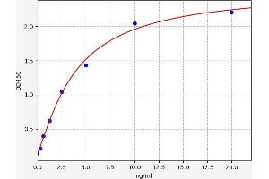 Synaptophysin (SYP) ELISA Kit