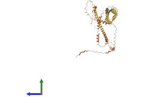 AlphaFold protein structure predicition of Human Recombinant IVL Protein, UniprotID P07476 (Involucrin Protein (IVL) (AA 1-585) (His tag))