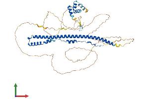 AlphaFold protein structure predicition of Mouse Recombinant Spats2 Protein, UniprotID Q8K1N4 (SPATS2 Protein (AA 1-545) (His tag))