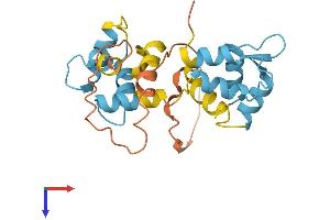 AlphaFold protein structure predicition of Human Recombinant MYL10 Protein, UniprotID Q9BUA6 (MYL10 Protein (AA 1-226) (His tag))