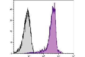 C57BL/6 mouse bone marrow cells were stained with Rat Anti-Mouse CD44-APC. (CD44 antibody  (APC))